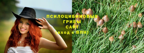 PSILOCYBIN Абинск
