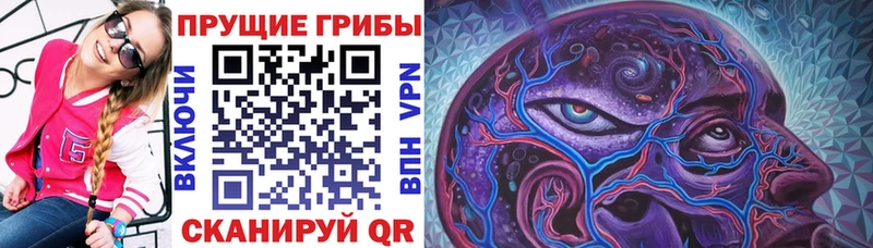 Галлюциногенные грибы прущие грибы  ОМГ ОМГ как зайти  Алагир  купить  