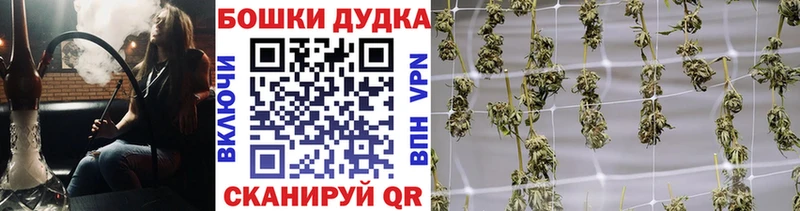 купить наркоту  Алагир  Марихуана планчик 